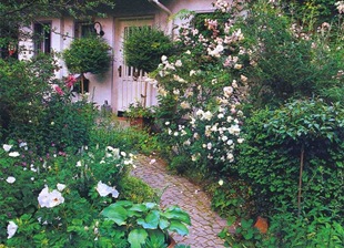 Кантри палисадник