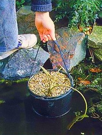 Корзинки для водных растений