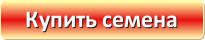 Купить семена 