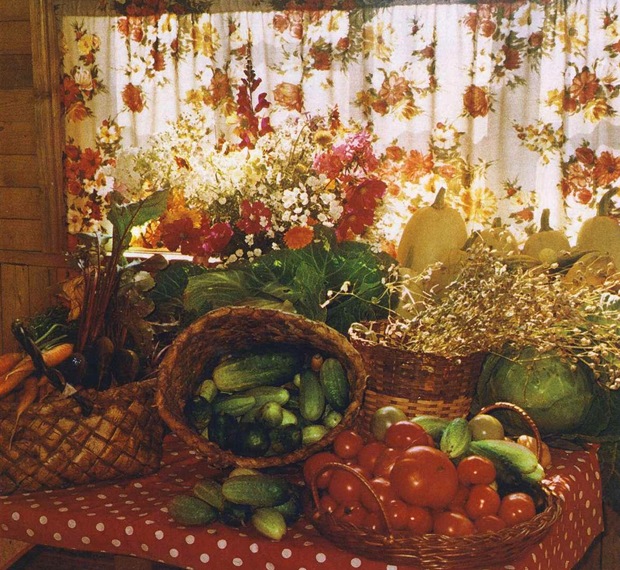 Хранение урожая овощей