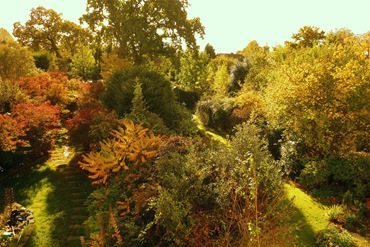 autumn garden