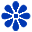 cyanf