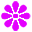 magentaf