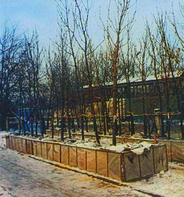 Посадка крупномеров